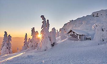 Urlaub im Januar im Bayerischen Wald
